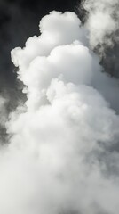 Obraz premium Billowing steam clouds rise gently, creating a mesmerizing display in the air from geothermal activity near hot springs in a natural landscape