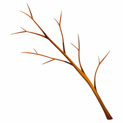 autumn leaves isolated on white