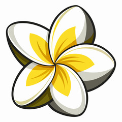 yellow frangipani flower