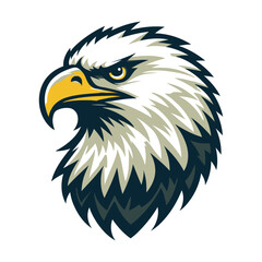 Eagle vector and illustrations