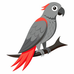 vector illustration of a red parrot