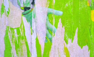 Old blank green white messy ripped torn grunge posters backgrounds creased crumpled paper backdrop...