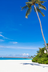 Tropical landscape on the islands and bungalows for tourists. A clean deserted sandy beach and palm tree. Blue ocean water and a marina. Coastline, houses and blue water.