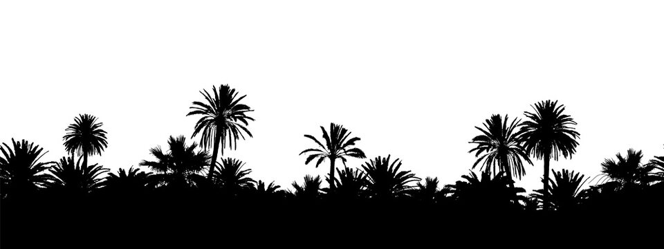 Seamless landscape banner with palm tree silhouettes on transparent background.