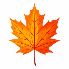autumn maple leaf