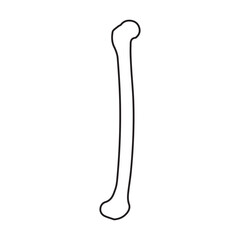 femur lateral line icon