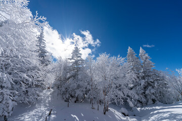 厳冬期の硫黄岳