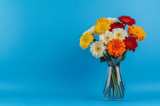 A Bouquet Of Multi-colored Gerberas In A Glass Va Cf43d151-9 544
