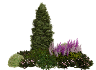 Ornamental garden landscaping design featuring evergreen and flowering plants