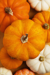 Assorted yellow orange and white mini pumpkins, top view. Fall harvest