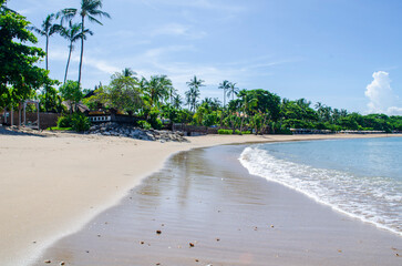 tropical beach with palm trees
