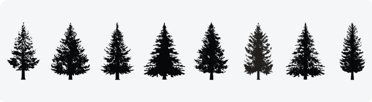 Black Silhouette Pine Tree Icons in Row on Light Background