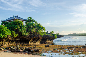 tropical beach with palm trees