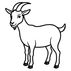 Fototapeta premium Vector art of a line drawing of a cute goat isolated on white background illustration vector design