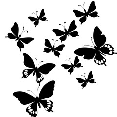 Several black butterfly silhouettes fluttering isolated on white background illustration vector design