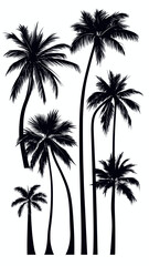Silhouettes of Tropical Palm Trees on White Background for Nature and Summer Themes