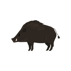 Wild boar. Chunky mammal with tusks. Forest pig animal, strong European hog profile, side view. Fauna, wildlife nature. Flat graphic vector illustration isolated on white background