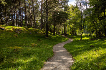 Gravfeltet Vang - Grabhügel in Norwegen 5