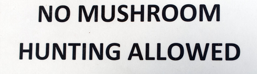 No Mushroom Hunting