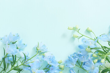 青い花の背景