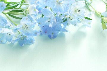 青い花の背景