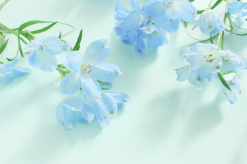 青い花の背景