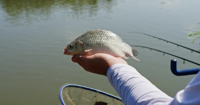 Fishing at the serene river Tamis near Farkazdin in Vojvodina, Serbia, enjoying nature and a successful catch