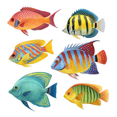 Colorful Fish: Aquarium Fish Images on transparent background