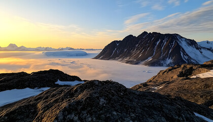 Explore the wild beauty of majestic nature