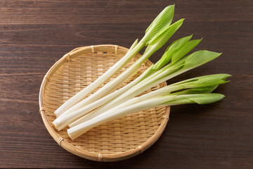 山菜　うるい　イメージ