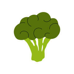 Broccoli icon. Green broccoli cabbage cartoon style, fresh vegetable with branched stem, healthy food cooking ingredient, organic diet nutrition. Vector isolated illustration