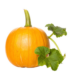 A vibrant orange pumpkin with its green leaves isolated on a black background