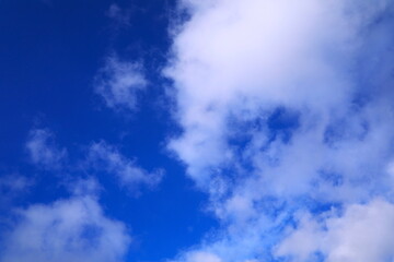 青空とふわふわした白い雲