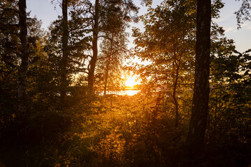 Obraz premium Sonnenuntergang am Tåkern - Schweden Vogelschutzgebiet 5