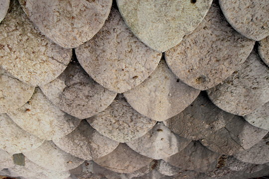 View of some ogival roof tiles