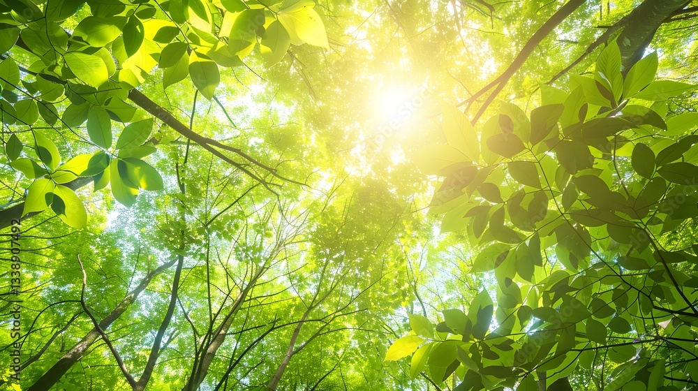 Aufkleber vibrant forest canopy with overlapping green leaves filtering soft sunlight creating a peaceful and 