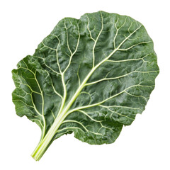 cabbage isolated on white background