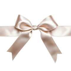 Elegant Champagne Satin Ribbon Bow Gift Wrap Decoration Festive Wedding Birthday