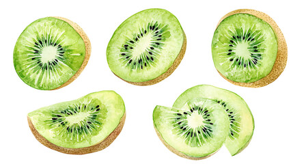 Fototapeta premium Set of kiwi fruits. Watercolor illustration. Collection of fruits. Isolated on white background. Hand paint.