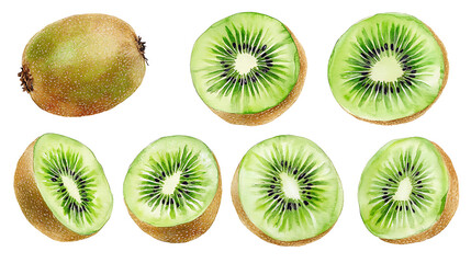 Fototapeta premium Set of kiwi fruits. Watercolor illustration. Collection of fruits. Isolated on white background. Hand paint.