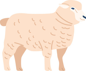 Sheep or lamb farm animal vector illustration