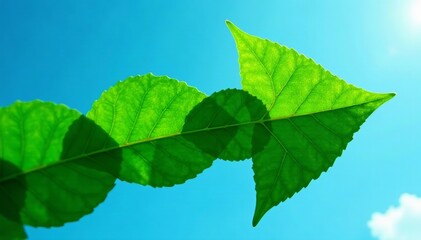 Close-up of arrow made of lush green leaves against blue sky, natural, advancement
