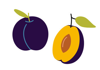 Whole plum and a halved fruit with a pit. Modern vector illustration isolated on white background, hand drawn, flat design
