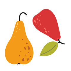 Pears and leaf. Modern vector illustration isolated on white background, hand drawn, flat design