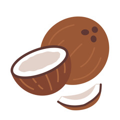 Whole Coconut, half nut, shell and slice. Modern vector illustration isolated on white background, hand drawn, flat design