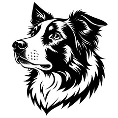 vector image of a dog