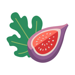 Slice of purple Fig with a seeds and leaf. Modern vector illustration isolated on white background, hand drawn, flat design