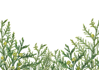 Watercolor cypress branches horizontal frame. Evergreen with green yellow cones illustration with empty space for text. Lush Cupressus twig border for Xmas decor, aromatherapy greeting cards