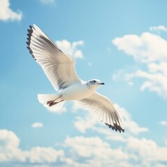 Fototapeta premium Protect Our Wildlife Minimalist Earth Day Poster for Wildlife Conservation