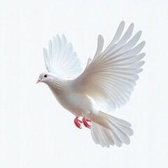Obraz premium A serene white dove in mid-flight, symbolizing peace and freedom, perfect for events like weddings, religious ceremonies, and peace-themed designs.